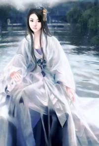 《作者:金三少 类 别:其他 TXT》