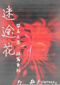 《(火影同人)迷途花》