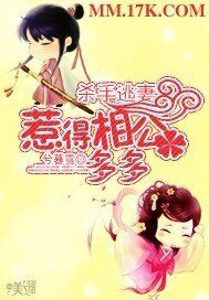 《杀手逃妻:惹得相公多多》