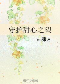 《(BG/动漫同人)守护甜心之望》