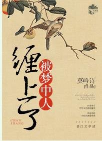 《被夢中人纏上了》