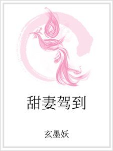 《甜妻驾到》