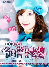 《飞来横宠-爷的警花老婆》