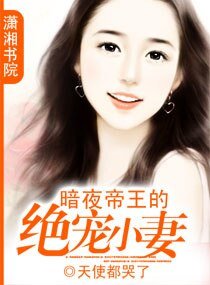 《暗夜帝王的绝宠小妻》