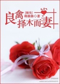 《良禽择木而妻(师生)》