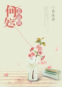 《何处是前期》