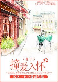 《撞爱入怀(高干)》