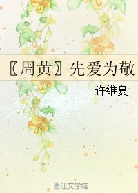 《(全职同人)〖周黄〗先爱为敬》