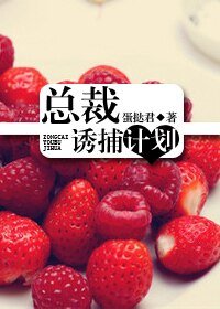 《总裁诱捕计划(原版+新版)》