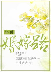 《異世婚嫁路/共妻守則》