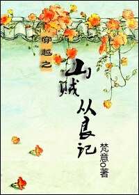 《穿越之山贼从良记》