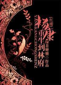 《(红楼同人)杨康重生到林府》