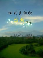 回到乡村的悠闲日子[种田]