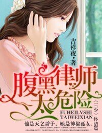 《一路上有你,律师老公太危险/腹黑律师太危险》