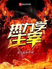 《热力学主宰(原版+修改版)》