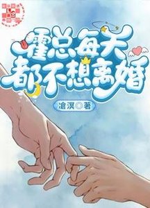 《霍总每天都不想离婚》