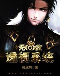《无敌透视系统》