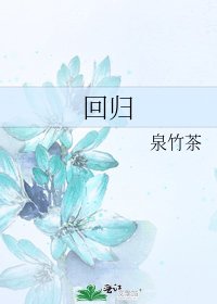 《回归》