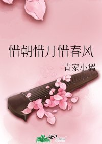 惜朝惜月惜春风