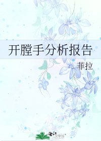 《开膛手分析报告》