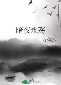 《暗夜永殇》