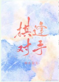 《棋逢对手》
