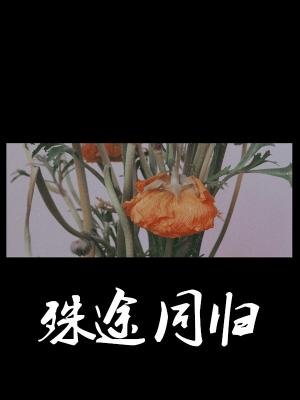 《殊途同归》