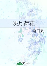 《映月荷花》