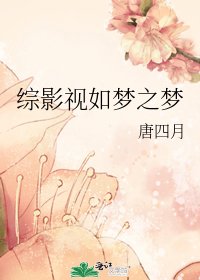 《综影视如梦之梦》