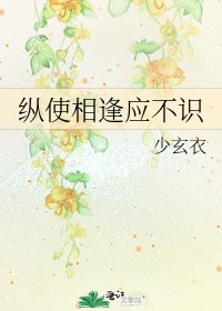 《纵使相逢应不识》