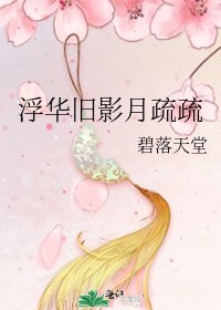 《浮华旧影月疏疏》