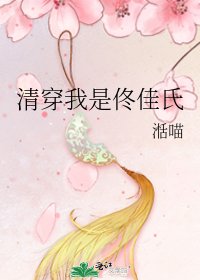 《清穿我是佟佳氏》