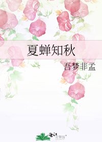 《夏蝉知秋》