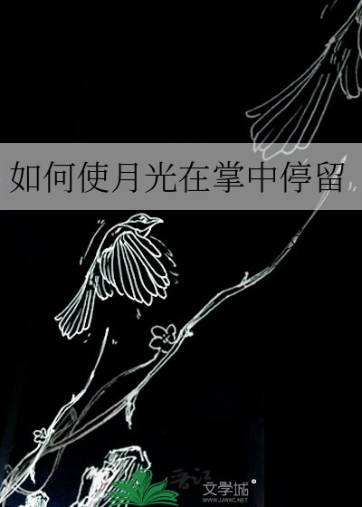 《如何使月光在掌中停留》