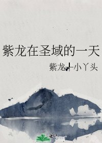 《紫龙在圣域的一天》