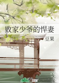 《败家少爷的悍妻》