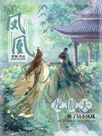 《龙傲天怀了只小凤凰》
