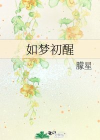 《如梦初醒》