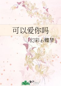 《可以爱你吗》