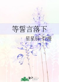 《等誓言落下》