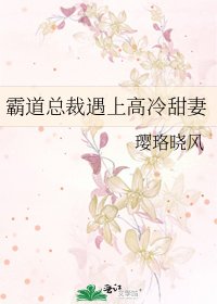 《霸道总裁遇上高冷甜妻》