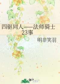 《四驅同人——法師騎士23事》