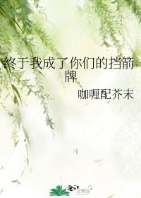 《终于我成了你们的挡箭牌》