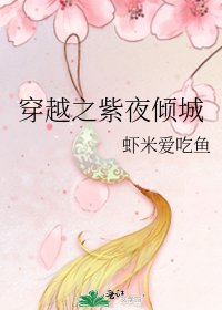 《穿越之紫夜倾城》