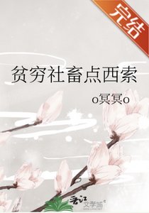 《(综漫同人)贫穷社畜点西索》