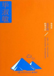 《你站在金字塔的第几层(出版书)》