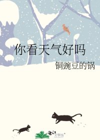 《你看天气好吗》
