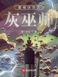 《(HP同人)霍格沃茨之灰巫師》